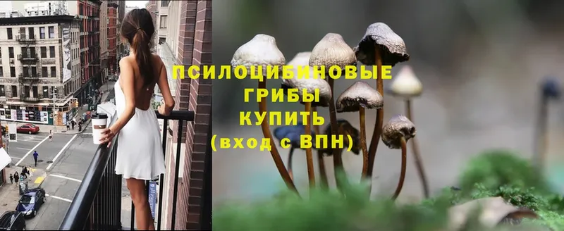 Галлюциногенные грибы Cubensis  сколько стоит  Лебедянь 