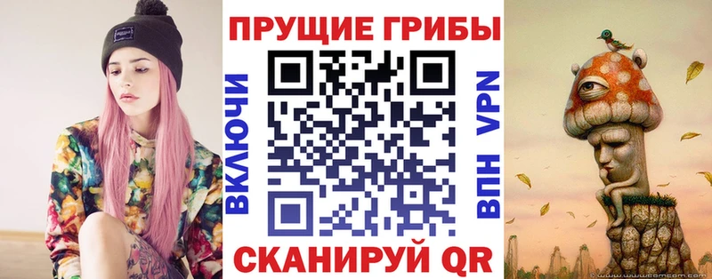 Псилоцибиновые грибы мухоморы  где продают наркотики  гидра рабочий сайт  Лебедянь 